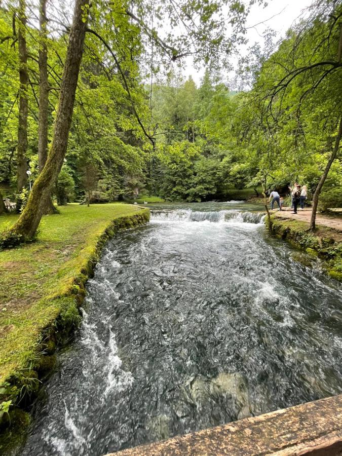 Apartman Magnolia SJJ Buitenkant foto